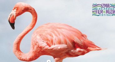 Kristal Flamingolar üçüncü kez sahiplerini bulacak