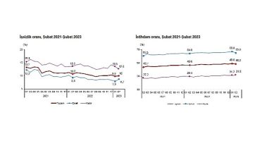 TÜİK: İşgücü İstatistikleri, Şubat 2023