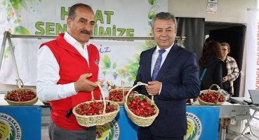 Dünya'nın kirazı Kemalpaşa'dan gidecek