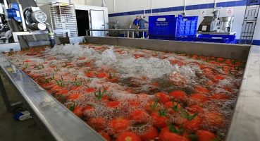 Muğla'nın Ürünlerine Değer Katan Tesis