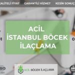 Haşere ve Böcek İlaçlama