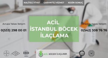 Haşere ve Böcek İlaçlama