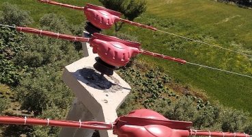 Toroslar EDAŞ Hatlarını Yalıttı, Kuşlar Kanatlarını Hayata Çırptı