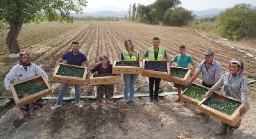 Milas Belediyesi üretiyor, üretimi destekliyor