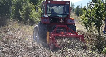 Selçuklu Belediyesi tarımsal üretime katkı sağlamaya devam ediyor