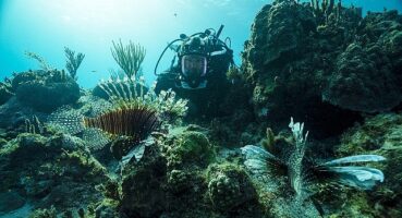 BBC Earth Denizaltı ve Yeryüzündeki Muhteşem Manzaraları Evlere Getiriyor