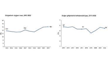 Girişimlerin 2022 yılında doğum oranı yüzde 16,1 oldu