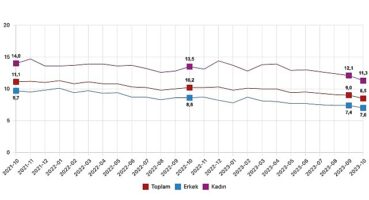 İşgücü İstatistikleri, Ekim 2023