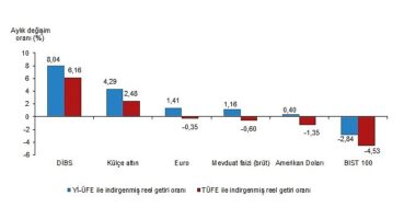 Aylık en yüksek reel getiri Devlet İç Borçlanma Senetleri (DİBS)'te oldu