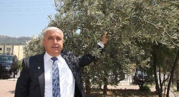 Sofralık zeytin ihracatı döviz bazında yüzde 52 arttı