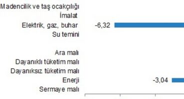 Yurt İçi Üretici Fiyat Endeksi, Ocak 2024