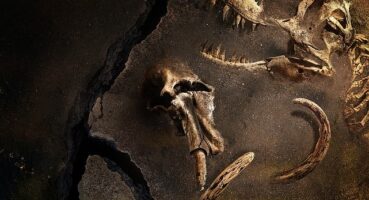 Gezegenimizde Yaşamış En Büyük Hayvanların Gizemini Konu Alan 'Kayıp Hayvanların Gizemli Geçmişi' 28 Mart Perşembe 22.00'de National Geographic Ekranlarında Başlıyor!