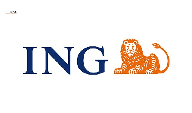 ing-turkiye-ve-habitat-derneginin-is-hayatina-turuncu-destek-projesi-basvurulari-basladi.jpg