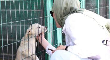 Hayvan Dostu Öğrencilerden Barınağa Ziyaret