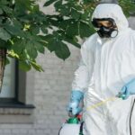 Ev İlaçlama ve Böcek İlaçlama