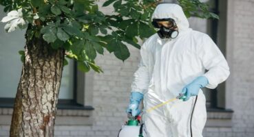 Ev İlaçlama ve Böcek İlaçlama