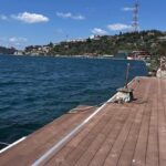 Ahşap Kompozit Kullanım Alanları: Konutlardan Ticari Yapılara Kadar