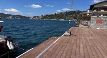 Ahşap Kompozit Kullanım Alanları: Konutlardan Ticari Yapılara Kadar