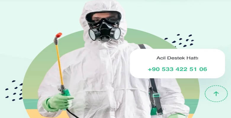 Böcek İlaçlama Fiyatları: Ankara’da Uygun ve Kaliteli Çözümler