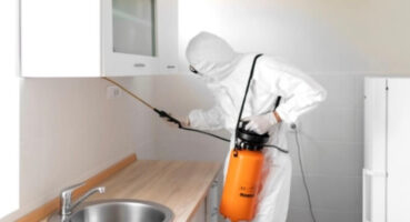 Hamam Böcekleri ve Alerjiler: Sağlığınızı Nasıl Etkiliyorlar