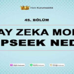 Çin Merkezli Yapay Zeka Modeli DeepSeek Nedir